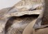 graser bettwaesche damasco paisley damast mandel 1873 Produktbild 1